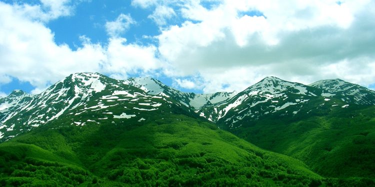 Kishin dalë për dru në pyll/ 27- vjeçari gjendet i ngrirë, babai i tij në gjendje të rëndë shëndetësore…