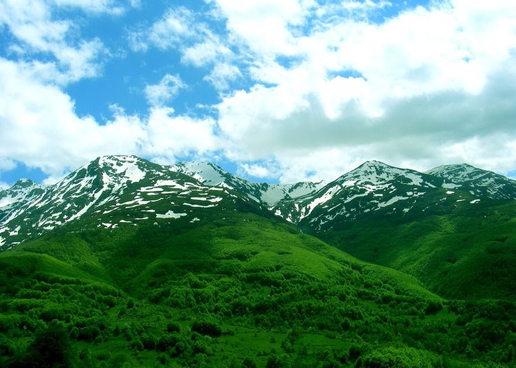 Kishin dalë për dru në pyll/ 27- vjeçari gjendet i ngrirë, babai i tij në gjendje të rëndë shëndetësore…