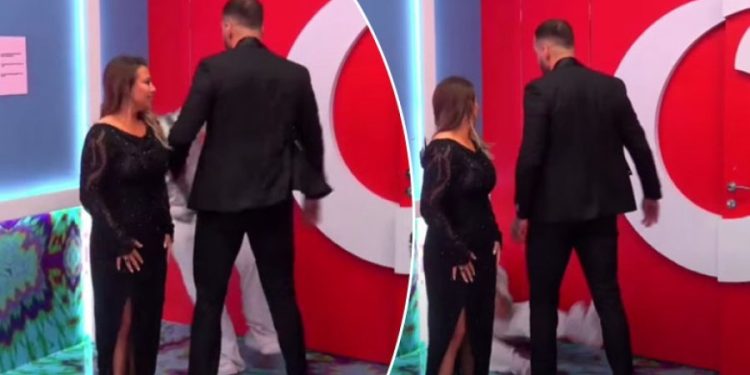 Pse befasohemi nga dhuna?