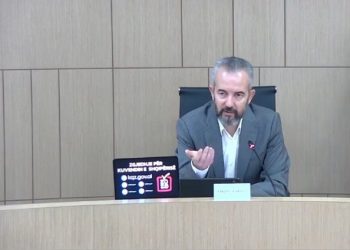Pengesat për votat e diasporës/ Celibashi: Janë 156 raportime për ankesa, problematikat janë individuale