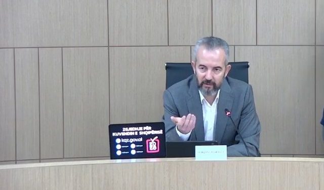 Pengesat për votat e diasporës/ Celibashi: Janë 156 raportime për ankesa, problematikat janë individuale