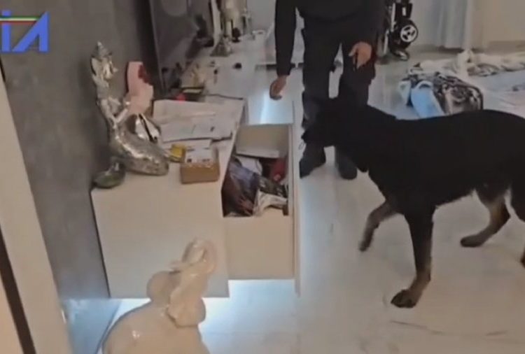 Operacioni “Ura”, i kërkuar në Itali për trafik droge, kapet shqiptari në Belgjikë