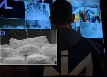 Detaje nga ‘dosja e Troplinëve’/ Si transportohej droga nga Shqipëria me karroca invalidësh – Heroina më e fortë quhej ‘banana’