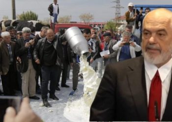 Fatura që po shteron qumështin/ Fermerët e vegjël përjashtohen nga tregu mes konfuzionit ligjor