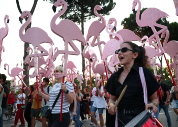 New York Times: Revolta e flamingove po sfidon qeverinë e Ramës