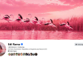 Rama provokon protestuesit/ Profili i tij në Facebook bëhet “Flamingo”, por ‘mbytet’ nga komentet negative