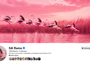 Rama provokon protestuesit/ Profili i tij në Facebook bëhet “Flamingo”, por ‘mbytet’ nga komentet negative